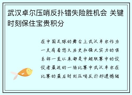 武汉卓尔压哨反扑错失险胜机会 关键时刻保住宝贵积分 武汉卓尔压哨反扑错失险胜机会 关键时刻保住宝贵积分