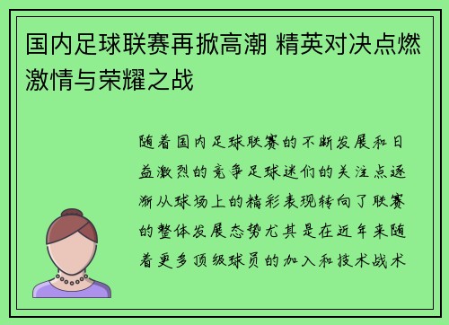 国内足球联赛再掀高潮 精英对决点燃激情与荣耀之战 国内足球联赛再掀高潮 精英对决点燃激情与荣耀之战